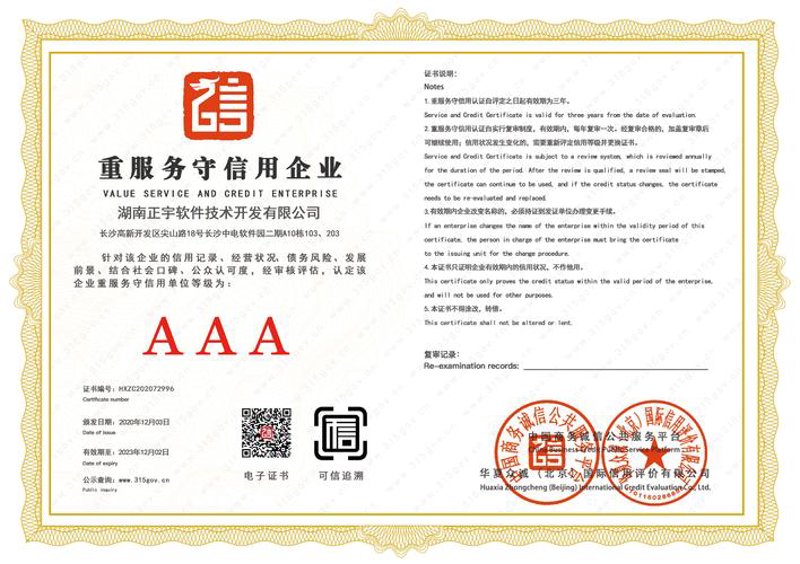湖南软件开发行业的新活力与挑战
